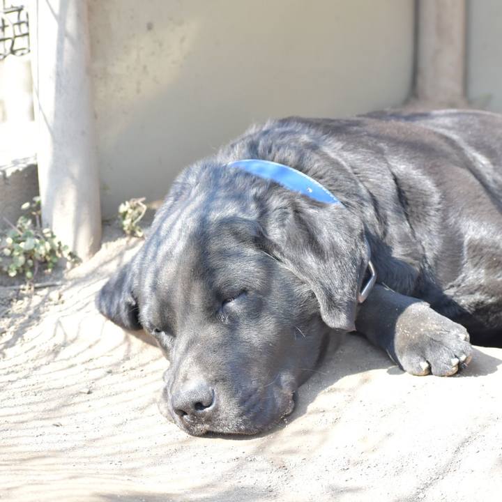 3633564a a2b9 44c1 b444 f4db9cc77126 1518067202841