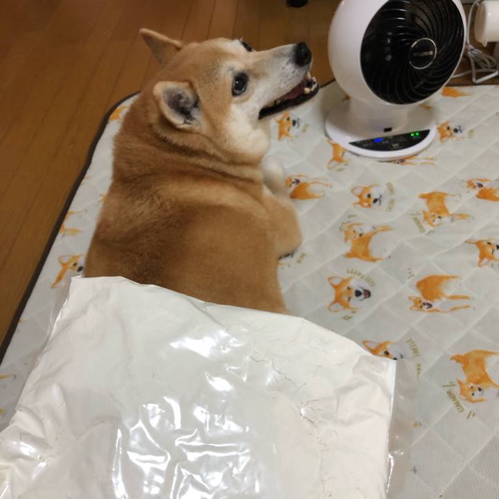 36338026 1a71 4702 a62c 2a61732d10bc 1567729681986