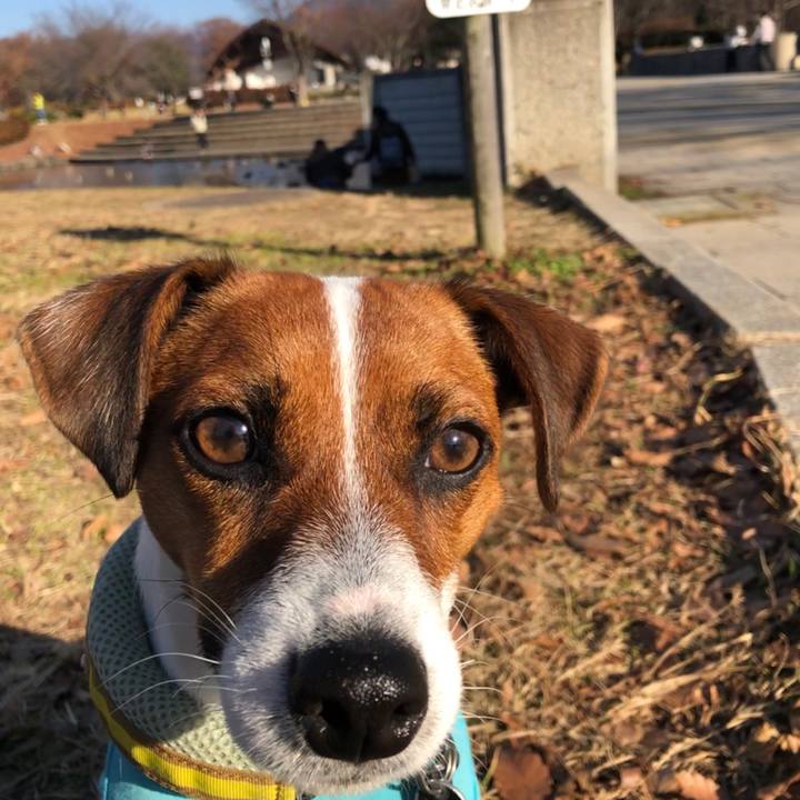 3633dbe3 6e36 4be4 8ec3 ed2994466fe6 1543749071220