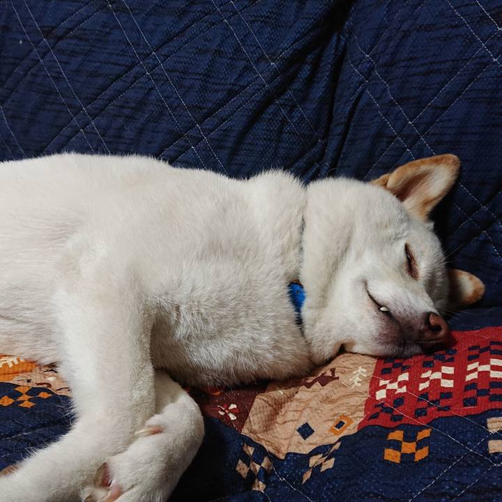 3633fcc7 a46e 4c39 ab2b cc8742158573 1592051446795