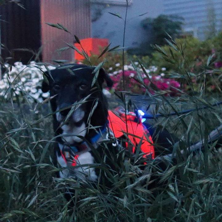 36342957 c8f4 4983 9bda eacfb89a4733 1746701960481