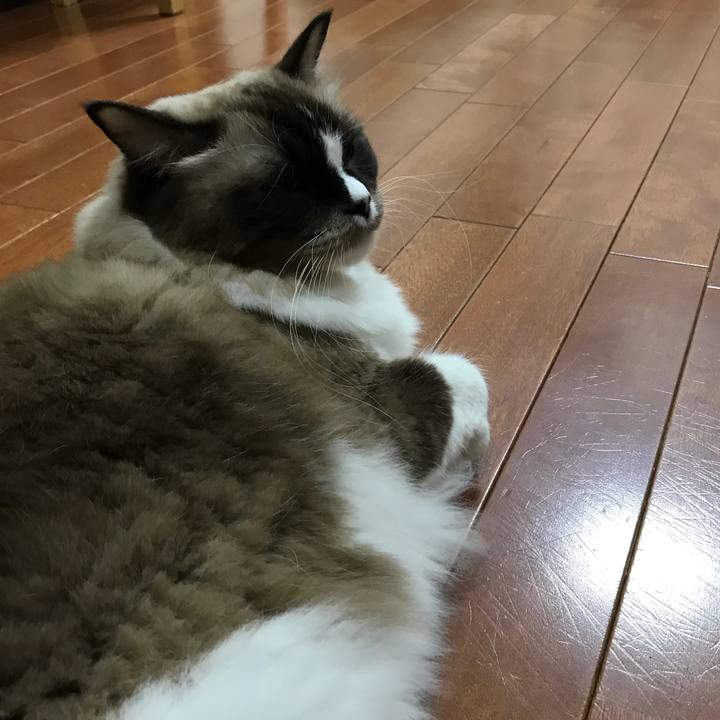 36343669 1229 45c8 ada6 6f3613629078 1510235673346