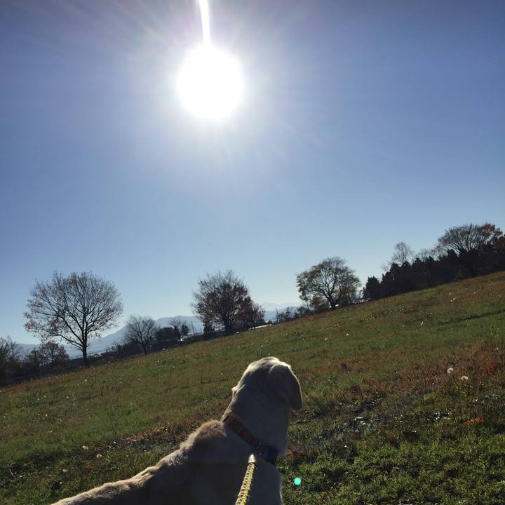 36349fd5 88cd 4e6d 8c64 4f8765ba3738 1571826369905