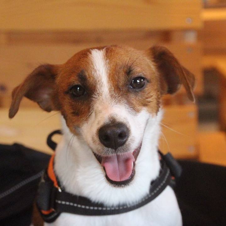 3634a2c2 487c 46bf 8d96 145f0cfbf64b 1511248267662