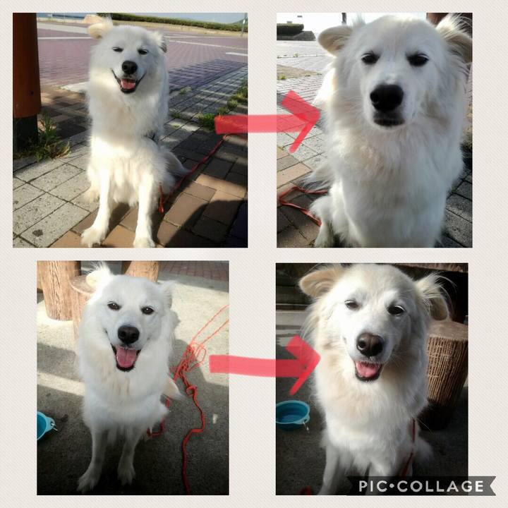 36352f28 c9f5 4cc8 a5e1 266e8aabe2d9 1526463180281