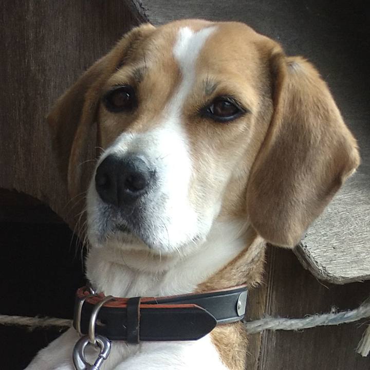 36357986 2757 45cc b298 3bbe91e0cab6 1636817884212