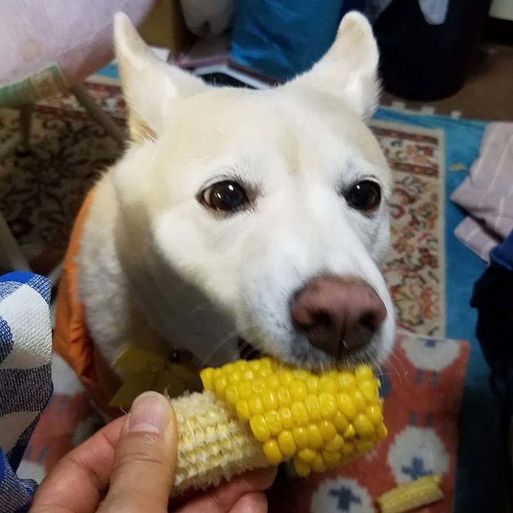 3635a6ef 138a 4eaa 9699 a1fe650991b0 1564222284751