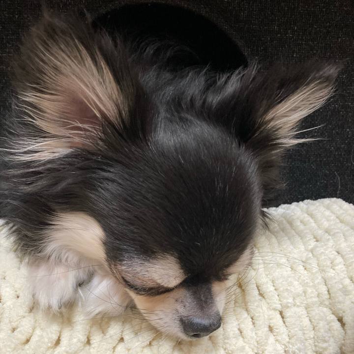 3635e235 fba1 49ba b2ea 0deb2872fcf4 1676817481964