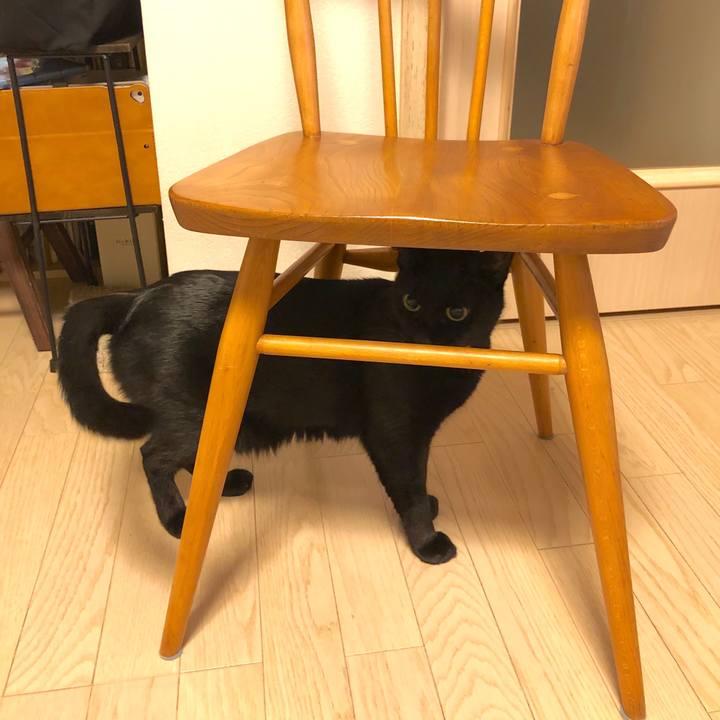 36360145 f622 4846 8758 02e5a70892f5 1545827163486