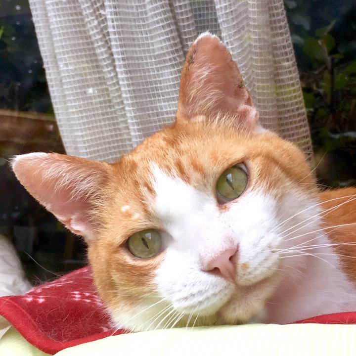 36361377 4717 49c3 8f03 0bd48193485e 1566876077261