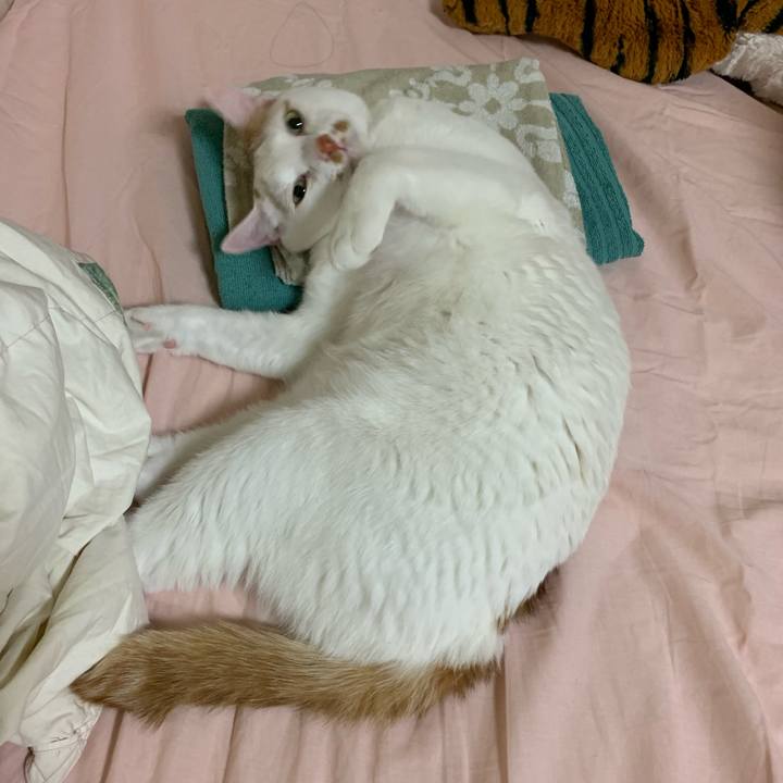 36362bad 8c18 42ed 8e8e 3b138a2afe4e 1587671771655