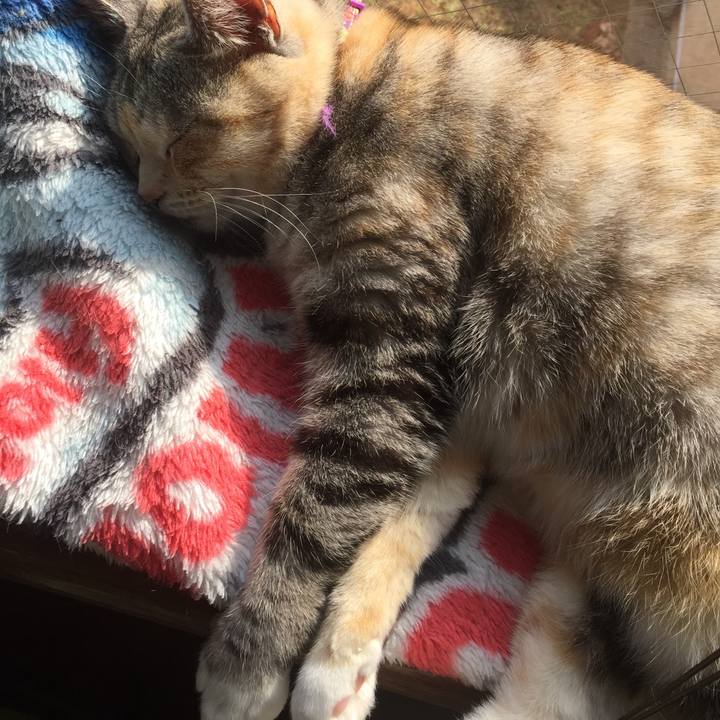 36363683 733b 4367 ac81 5e589b696c55 1549512260237