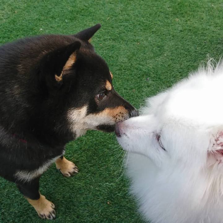 36364d5b 35ae 4479 9496 374fbcb71ba1 1567343581881