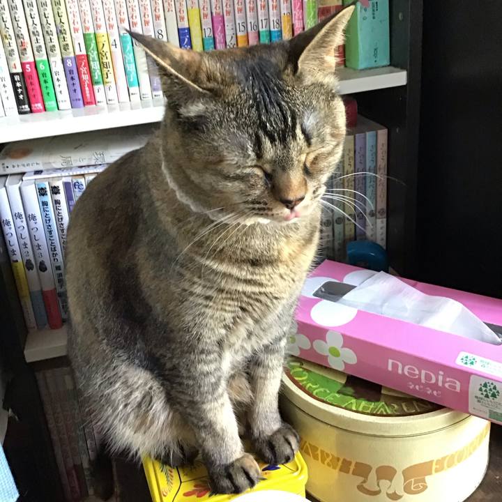 36367fa9 2eaf 4cda b44c c34ae1ab47f9 1714881743862