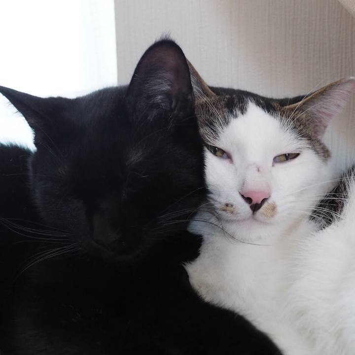 363680ea 1882 494a 8047 dd9340974fe9 1541592851778