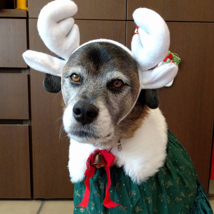 3636cdc0 f32e 4ac5 aede 86949b72824f 1640305864813