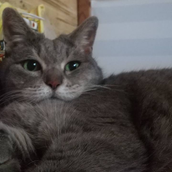 3636d01e 1890 49d4 b0b5 9e407438a170 1624921699800