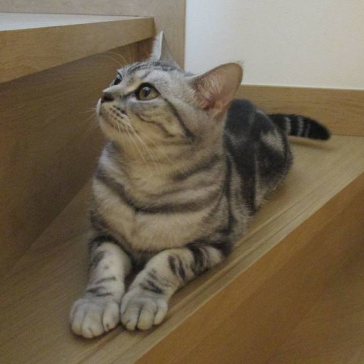 3636d4e1 81fd 41ed 9085 4b4b5a398d5a 1558957368809