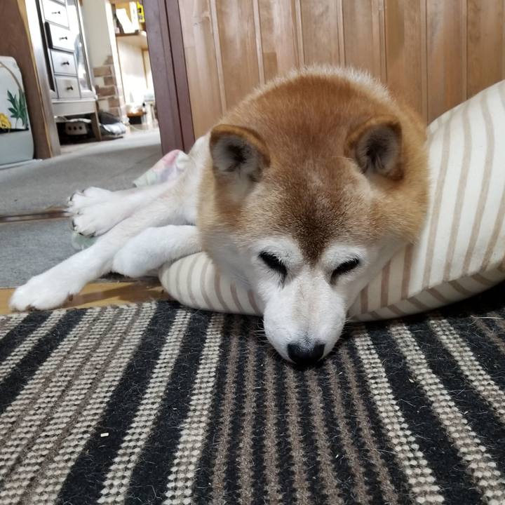 3636e90d 6fb9 429a 9f21 b1ba75e1a164 1730161960019