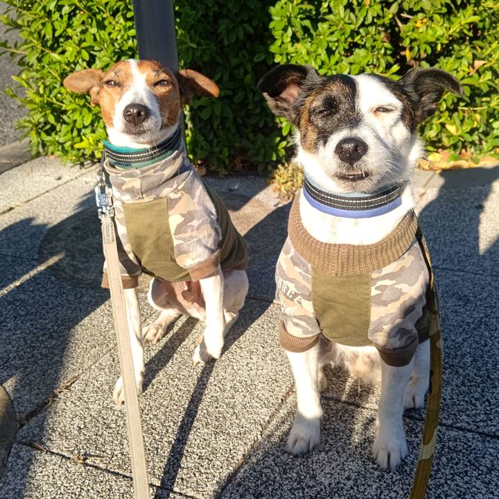 36377185 5d16 40f8 8ad0 47e074235b00 1701477469024