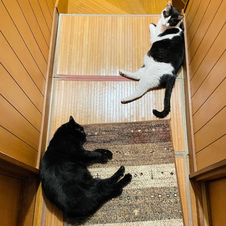 3637afad a23d 46b4 b968 7ae12e6af283 1630203340685