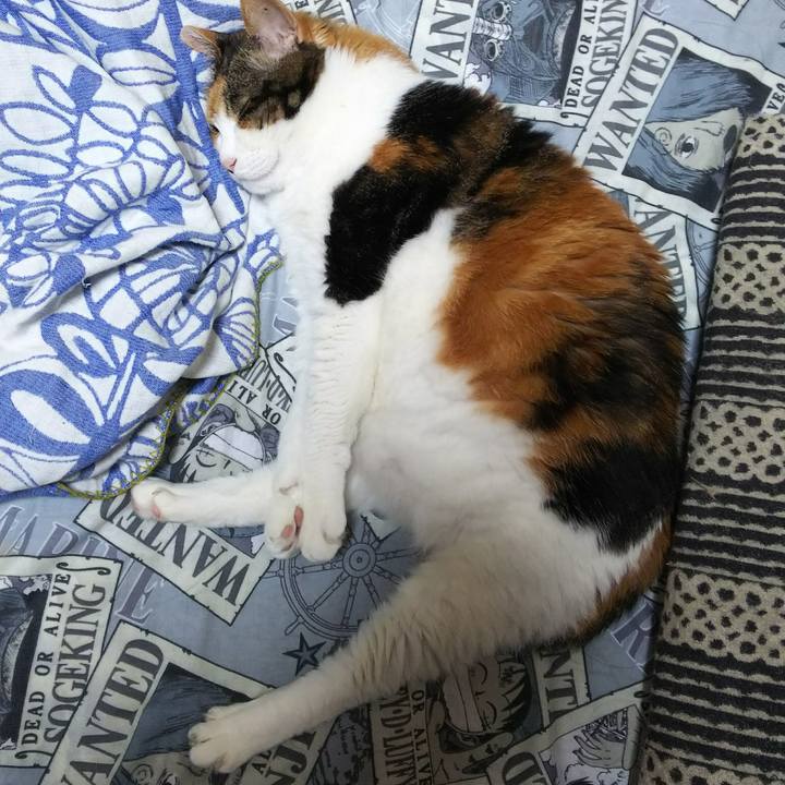 36380d45 7872 422d 95ba 7d043f5825d9 1527772793194