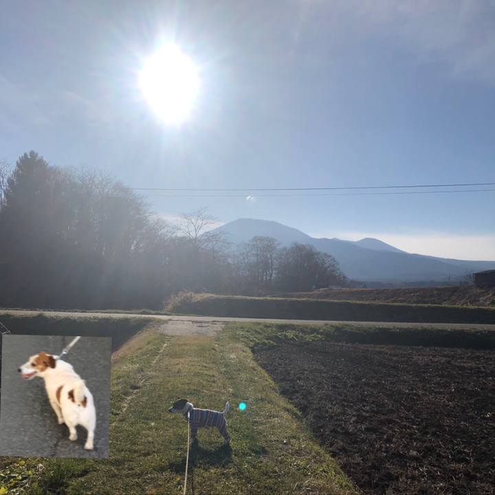 363816fe 18ab 4689 ba9c 40494dcd487e 1575964087554