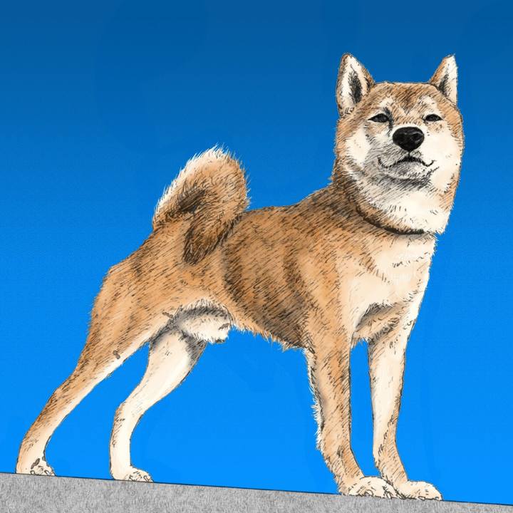 363820f4 e8c6 4c5c 9c92 0de55b289585 1579703694276