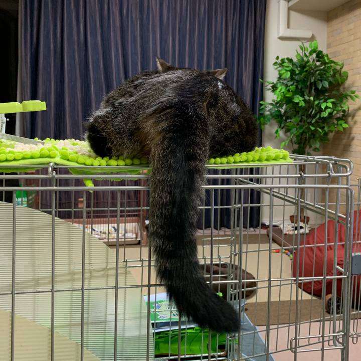 36383566 4c15 4668 833a e9fa6ecac1de 1544350270824