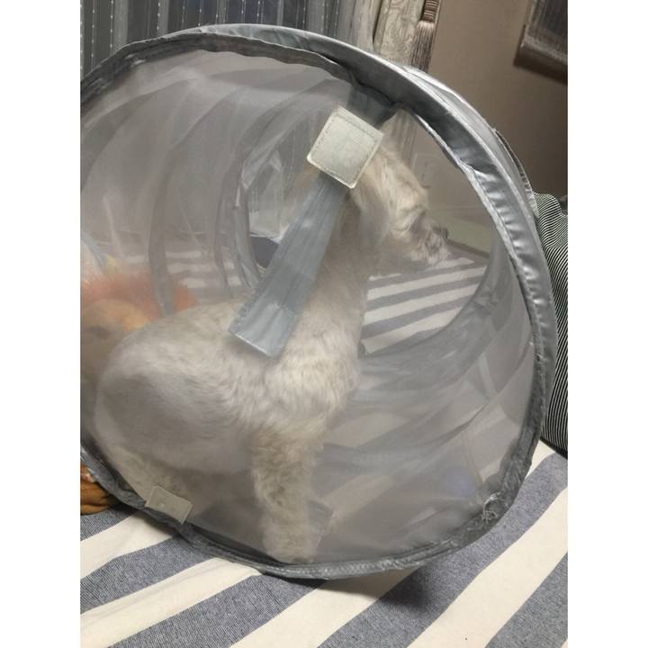 36387702 c83d 4fd4 8e75 a2eea3a7ecb9 1520420541054