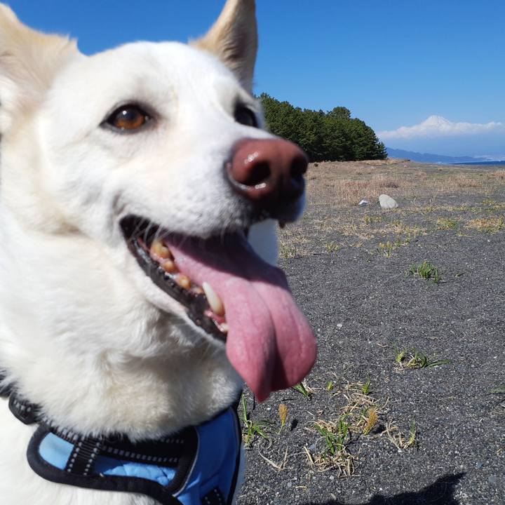 36388216 5d66 431e a4bf 3a7329f434ee 1679656327422