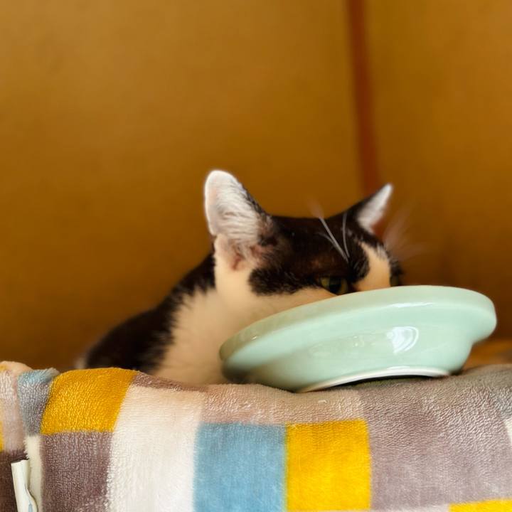 36389c52 0c8a 4159 9c7f ed91e1e06d7e 1698372029699