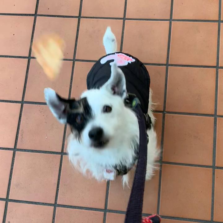 363903b8 c667 44d3 b3c0 99b230a381e5 1706167493651