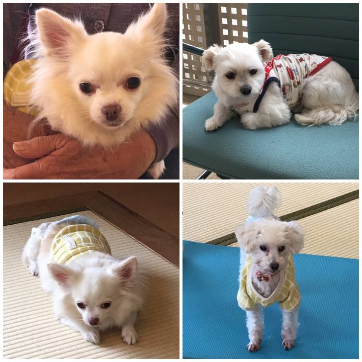 36396465 974d 4282 88c0 7213fe3d30fd 1543823706186