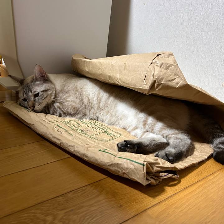 363984a6 d61c 43ba b46b 77e48402f01d 1758204835188