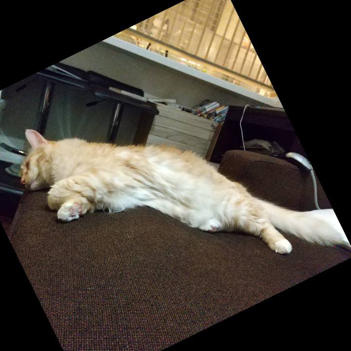 36398cbd 629f 4b5e 862d c8ea882bd320 1638538012860