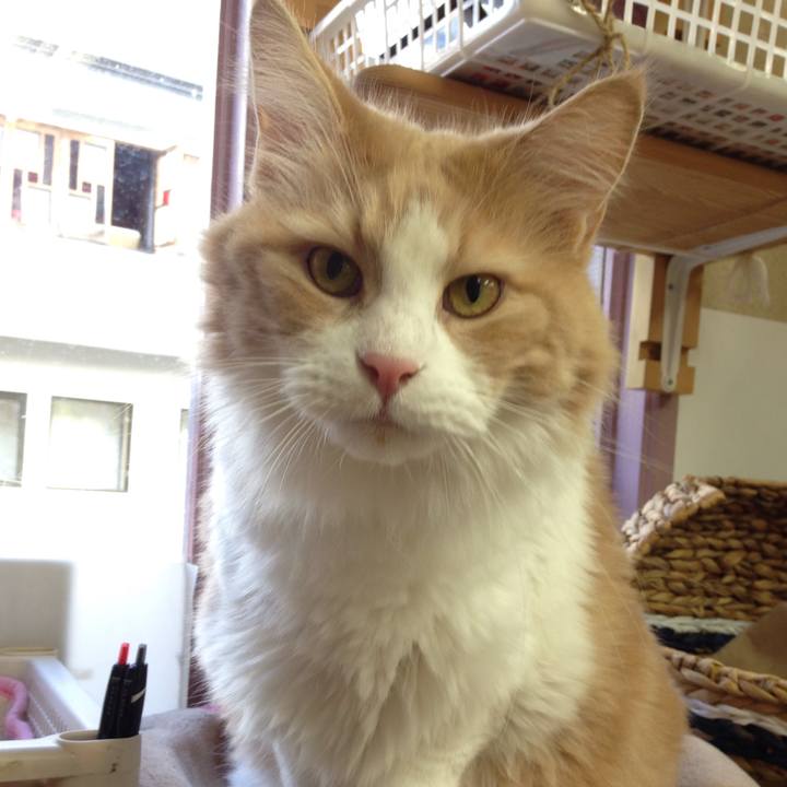 3639c311 6c8a 4413 9c4e 56a27619e764 1510106777115