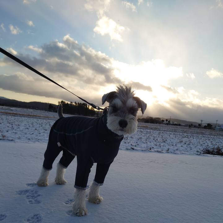 3639c45e 448e 4b80 907f 674316caeaa9 1768172605081