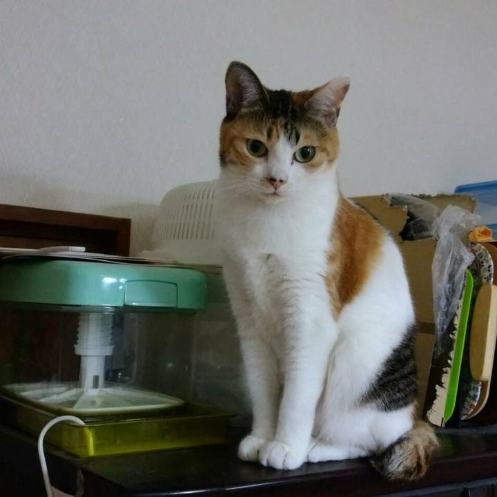 3639d4dd 906c 48e9 862c fb309e24ab4f 1520597550412