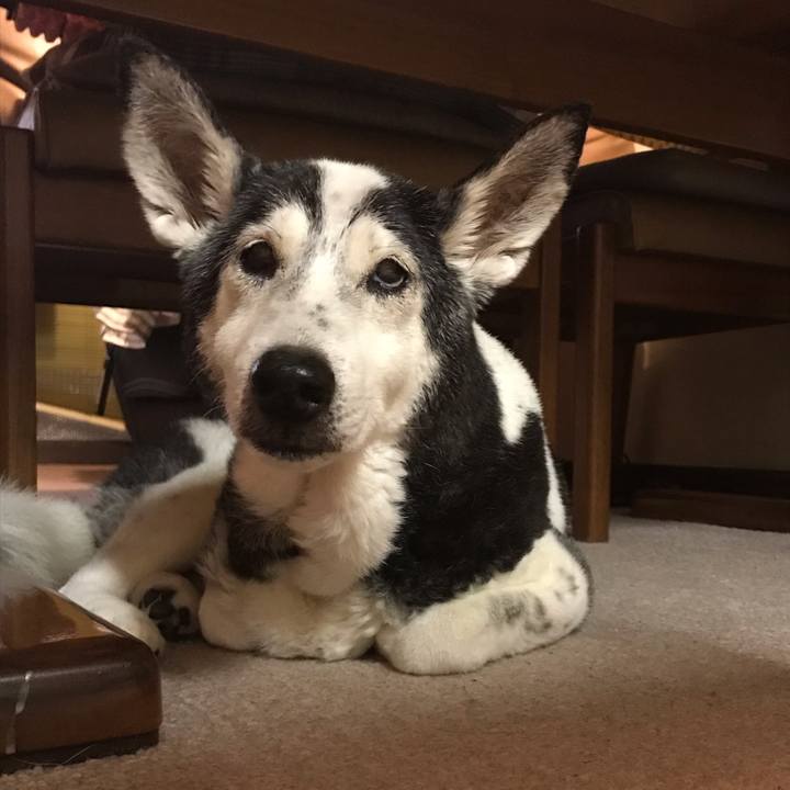 363a2866 f36c 40ba aa58 9aa6034e698e 1567434281874