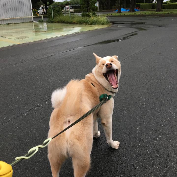 363a28fc 8fa2 47c7 a4b8 eb7239c80cea 1508659049126