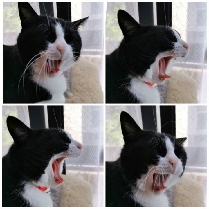 363a42a6 8502 4888 8981 cfa590ba43d2 1620028337790