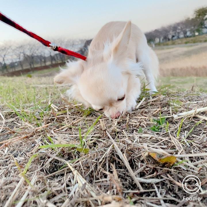 363a6990 8b85 4e61 b0ce 65b2440c4049 1607336879101