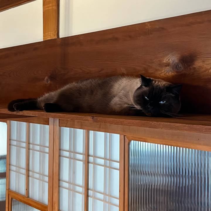 363a8245 b562 4c8a aa11 1619f1ff53e3 1739253206942