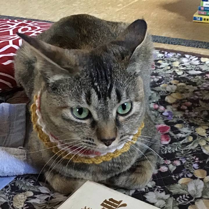 363aa90b 6dce 4dbb 9636 0a7426777420 1623226392713