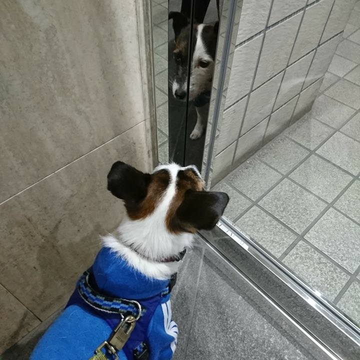 363ad99f c5cc 428b 9bf3 8e0c6dec3674 1515967679190