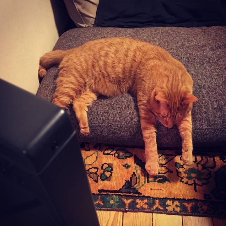 363aef5a 31d6 4a7f b5e4 dde6383976c1 1515928643915