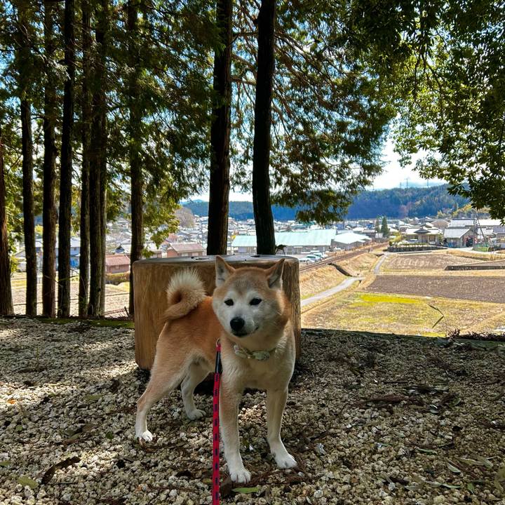 363af625 038e 40a7 b6a7 8e35719be6ed 1774614987309