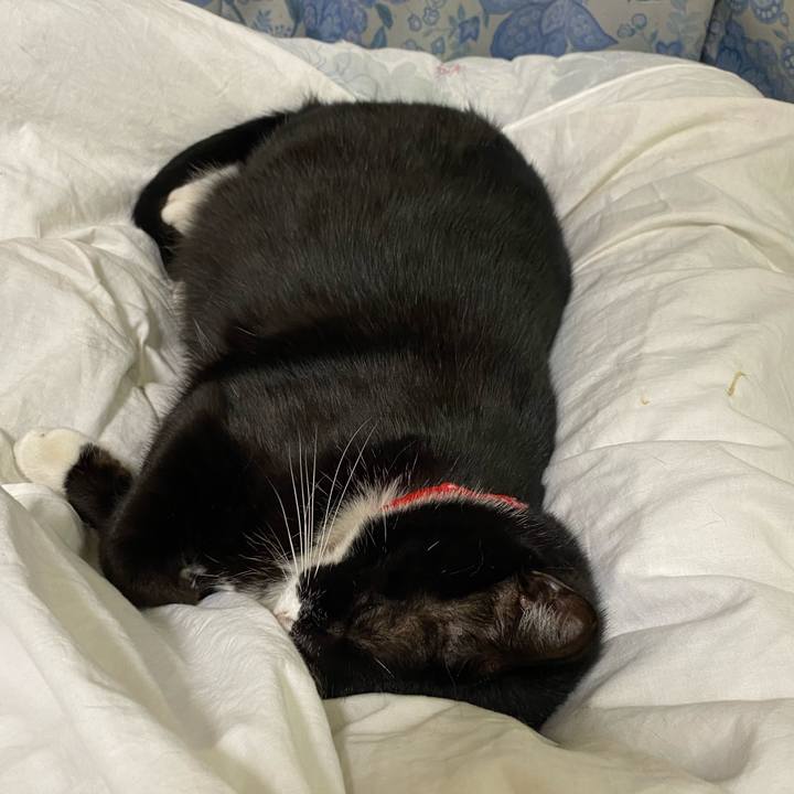 363b4791 4892 4a86 b559 d2f5acb205ed 1606401935567