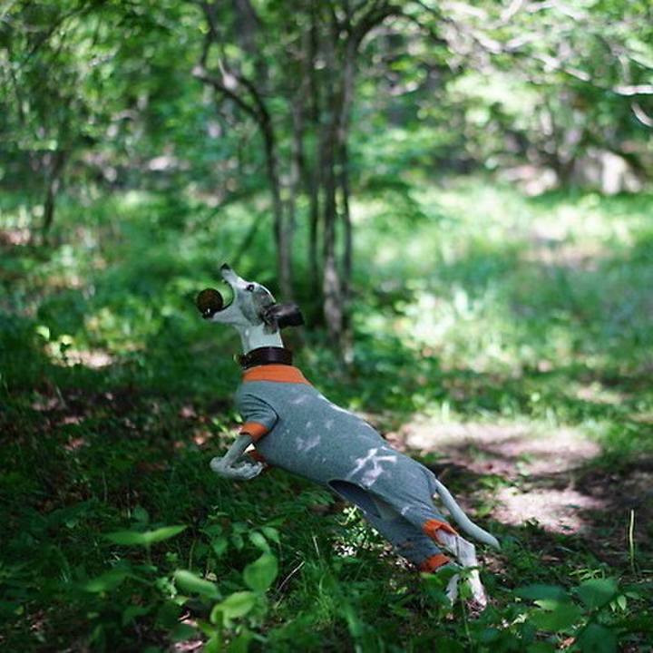 363b6110 e872 4cd0 936f 97d05553c487 1534418077931